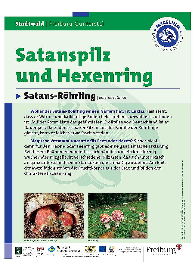 Hexenring , Stationen, Tafeln, thomas rees 11