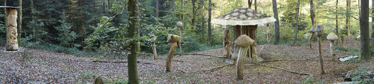 Hexenring , Pilzplatz, thomas rees 02