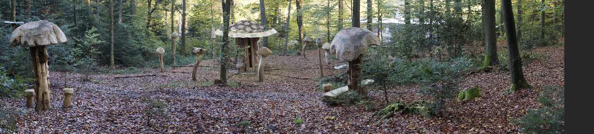 Hexenring , Pilzplatz, thomas rees 03