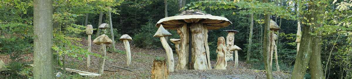 Hexenring , Pilzplatz, thomas rees 06