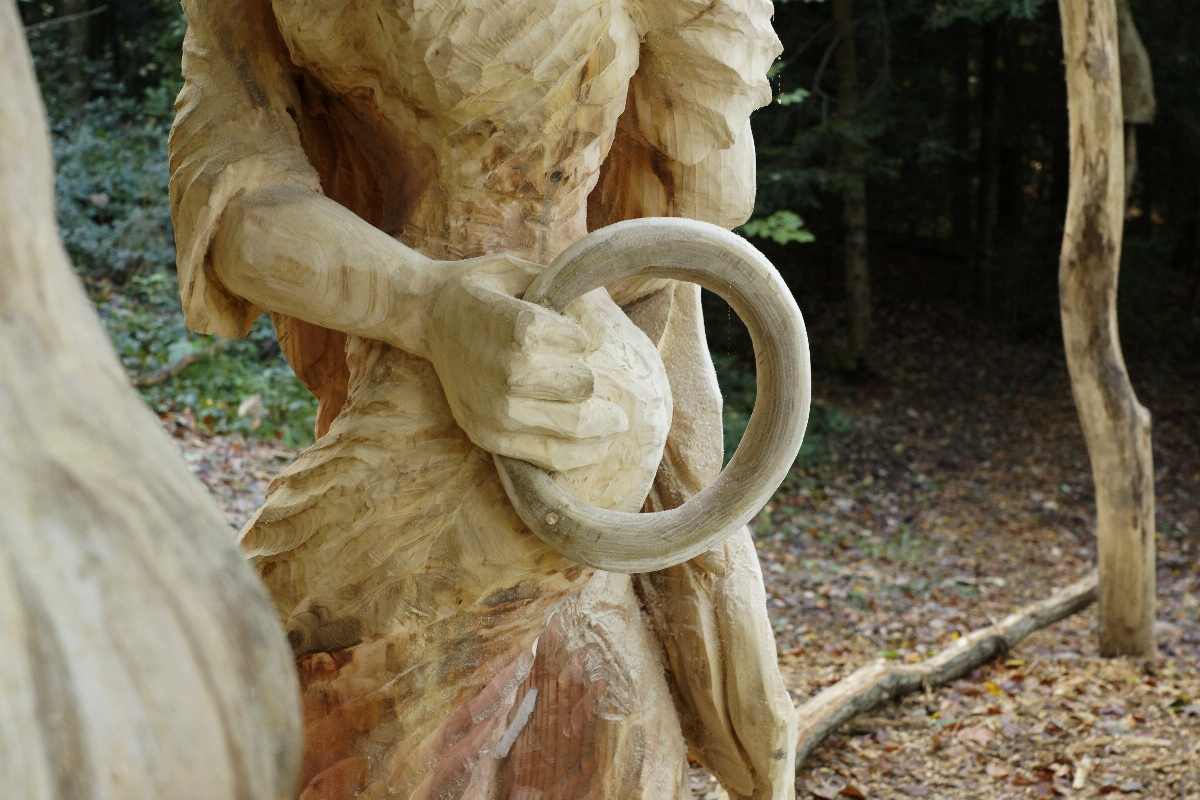 Hexenring , Pilzplatz, thomas rees 08