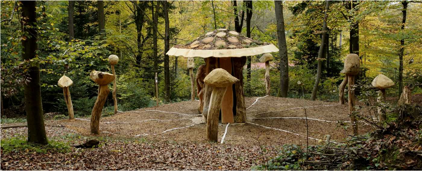 Mycelium