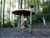 Hexenring , Pilzplatz, thomas rees 01