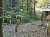 Hexenring , Pilzplatz, thomas rees 02