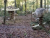 Hexenring , Pilzplatz, thomas rees 03