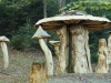 Hexenring , Pilzplatz, thomas rees 06