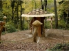 Mycelium