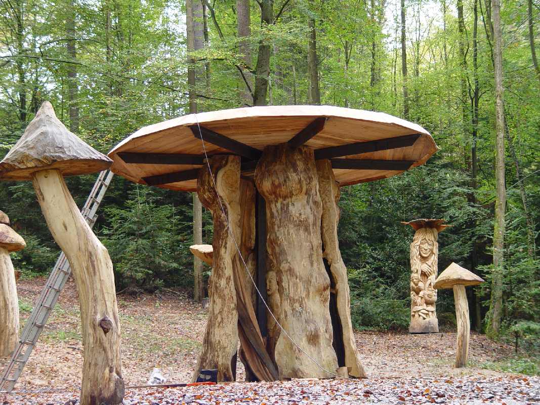 Hexenring , Riesenpilz, thomas rees 04
