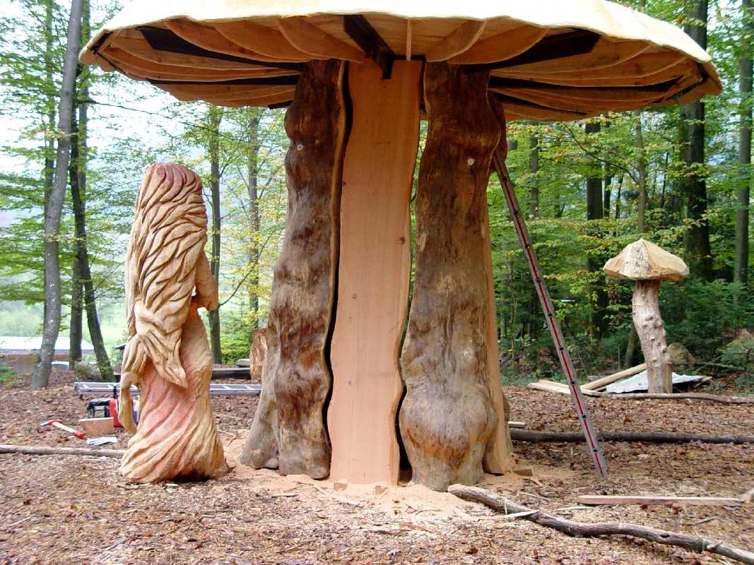 Hexenring , Riesenpilz, thomas rees 12