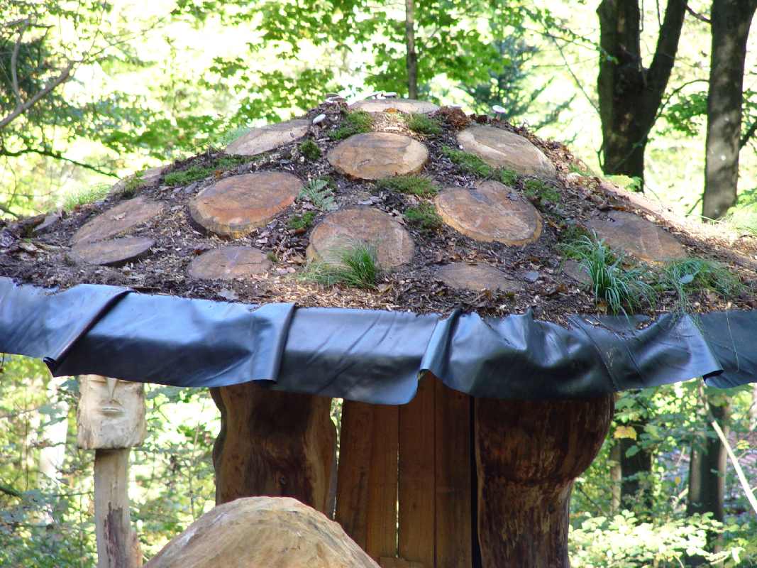 Hexenring , Riesenpilz, thomas rees 24