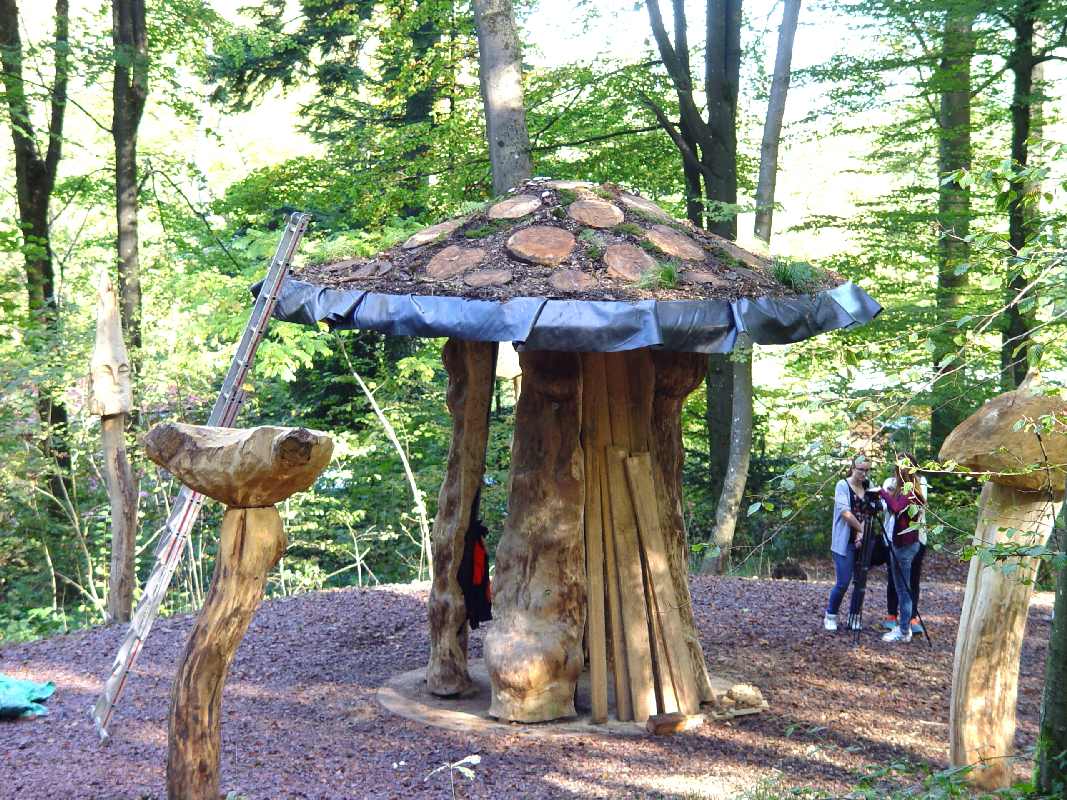 Hexenring , Riesenpilz, thomas rees 25