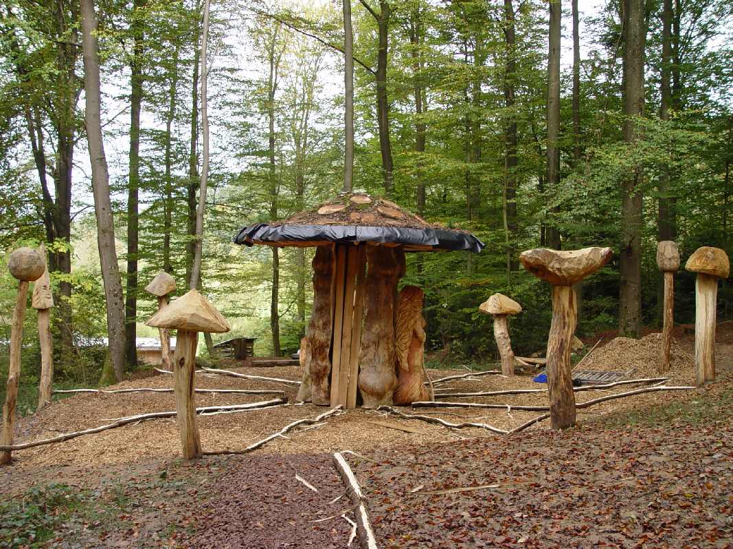 Hexenring , Riesenpilz, thomas rees 26