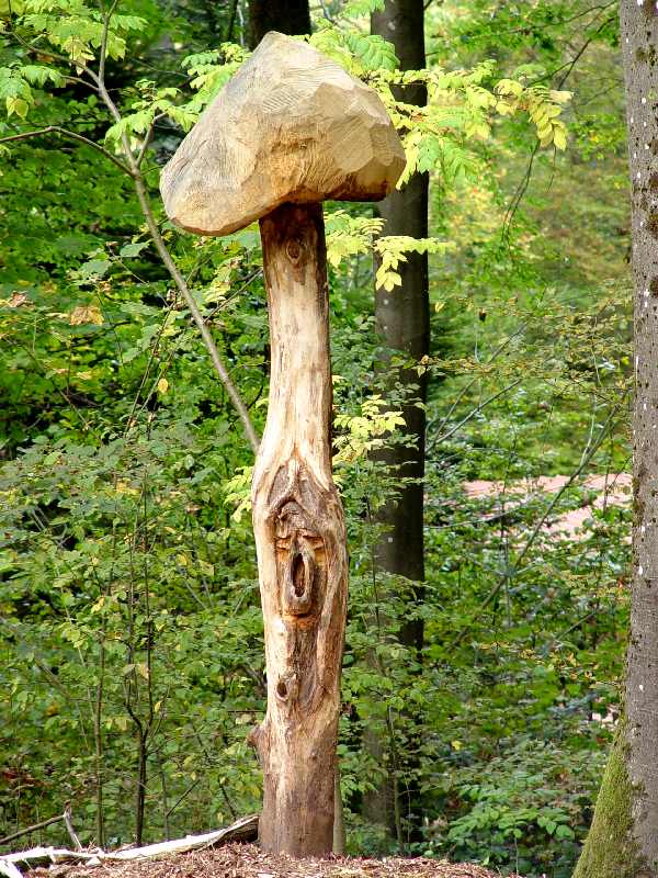 Hexenring , Riesenpilz, thomas rees 27
