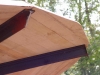 Hexenring , Riesenpilz, thomas rees 01