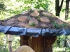 Hexenring , Riesenpilz, thomas rees 24