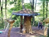 Hexenring , Riesenpilz, thomas rees 25