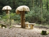 Hexenring , die Baustelle, thomas rees 100