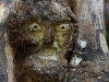 Hexenring , die Baustelle, thomas rees 98