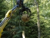 Hexenring , die Baustelle, thomas rees 99