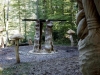 Hexenring , die Baustelle, thomas rees 129