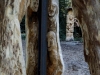 Hexenring , die Baustelle, thomas rees 130