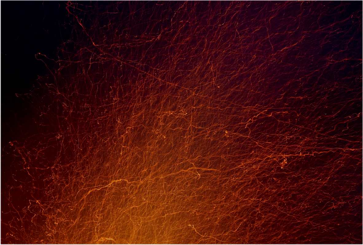 Scheibenschlagen am Baum der Erkenntnis, März 2014, thomas rees 02