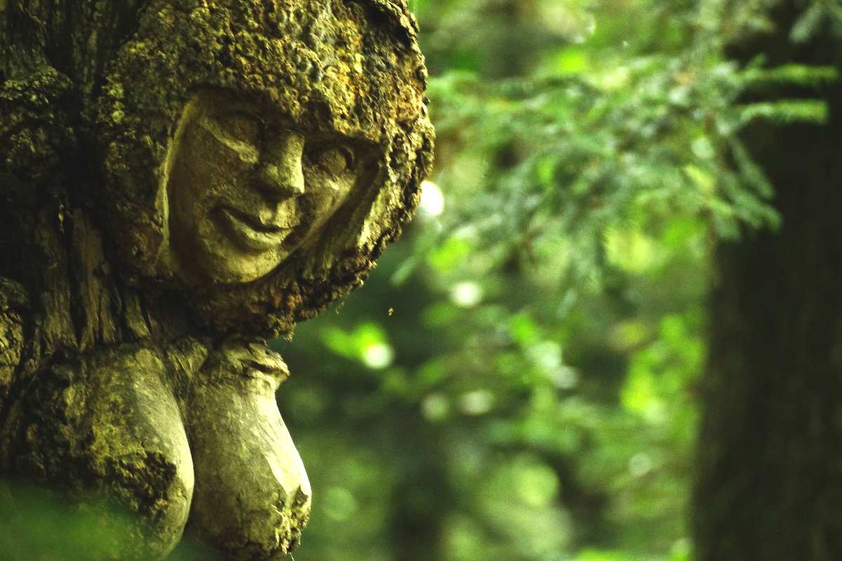 WaldMenschen, 2014, thomas rees 14