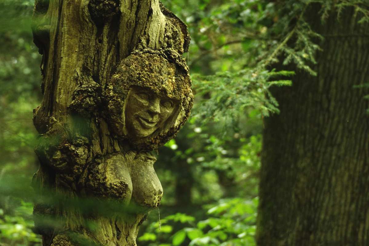 WaldMenschen, 2014, thomas rees 20
