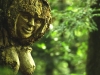 WaldMenschen, 2014, thomas rees 14