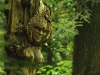 WaldMenschen, 2014, thomas rees 20