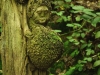 WaldMenschen, 2014, thomas rees 22