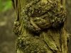 WaldMenschen, 2014, thomas rees 25