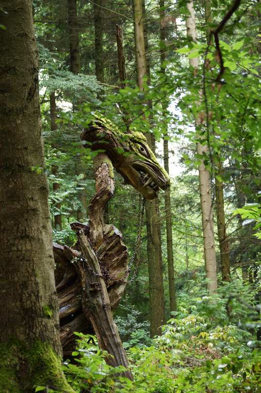 Sternwalddrache 2014, thomas rees 07