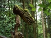 Sternwalddrache 2014, thomas rees 05