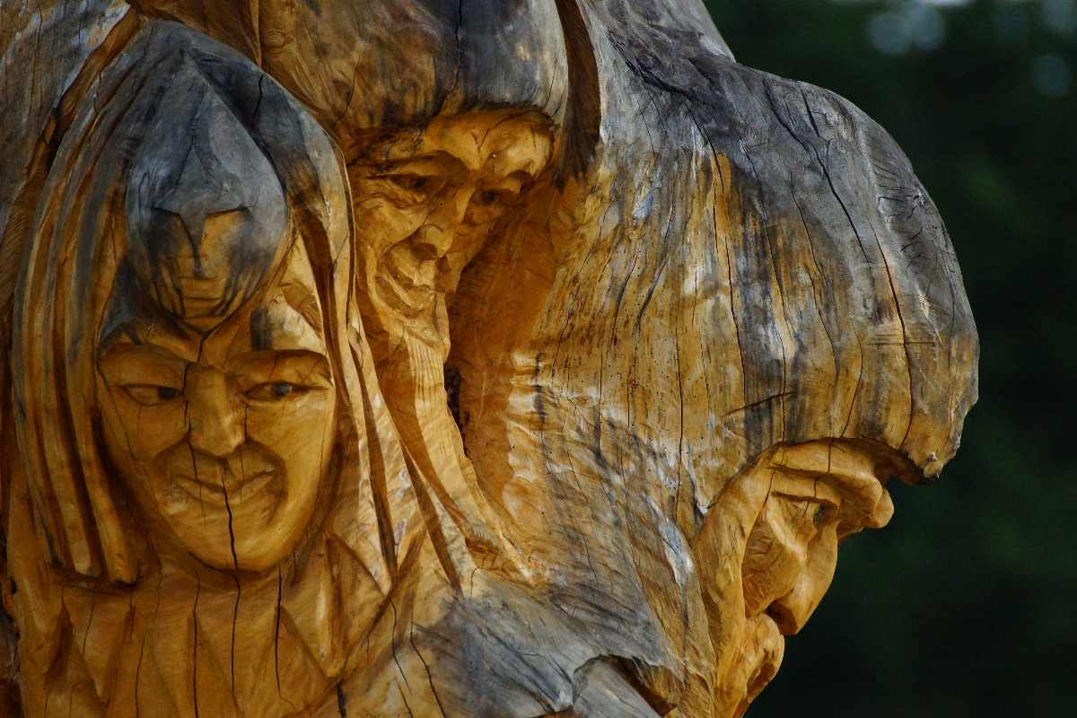 Baum der Erkenntnis, August 2012, thomas rees 10