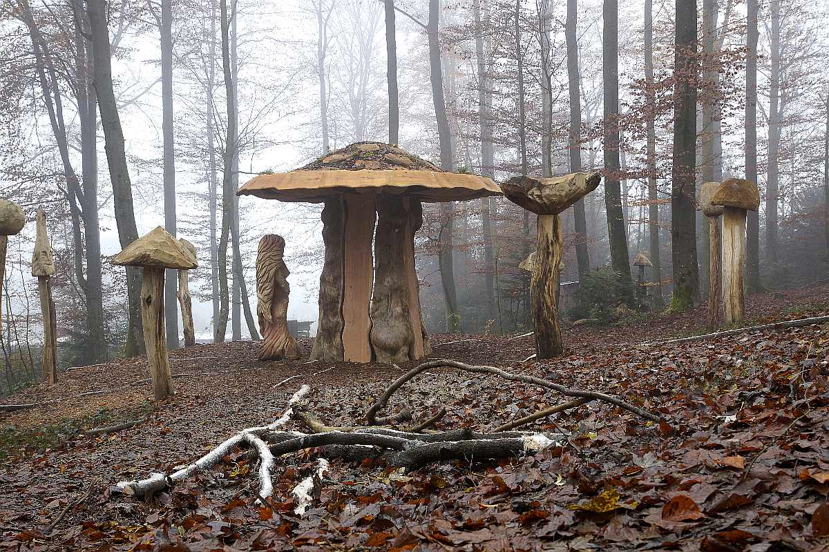 Hexenring , Herbstgrau, thomas rees 15