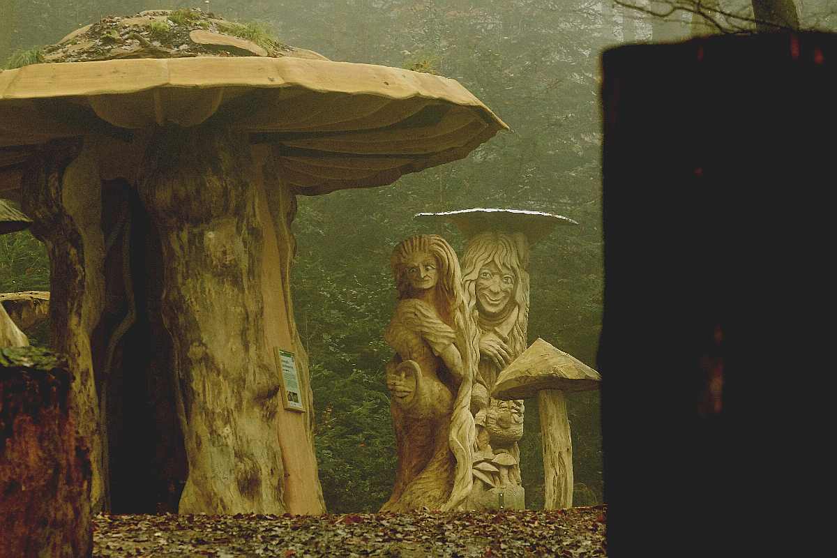 Hexenring , Herbstgrau, thomas rees 18