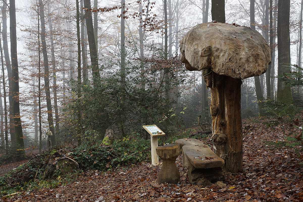 Mycelium, Novembergrau, thomas rees 33