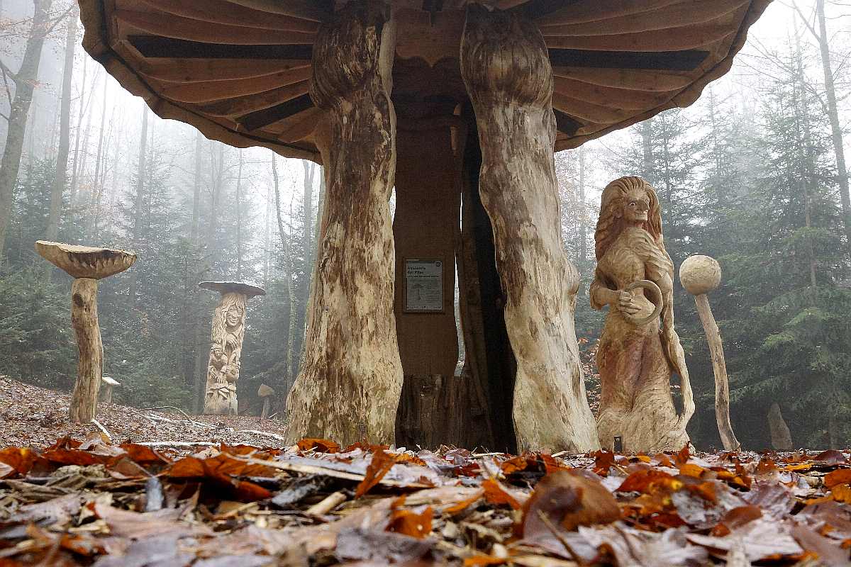 Mycelium, Novembergrau, thomas rees 34