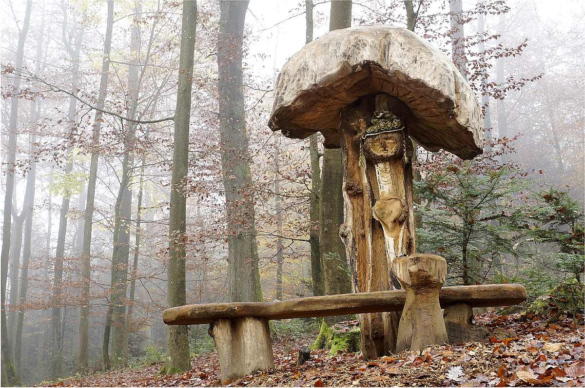 Mycelium, Novembergrau, thomas rees 40