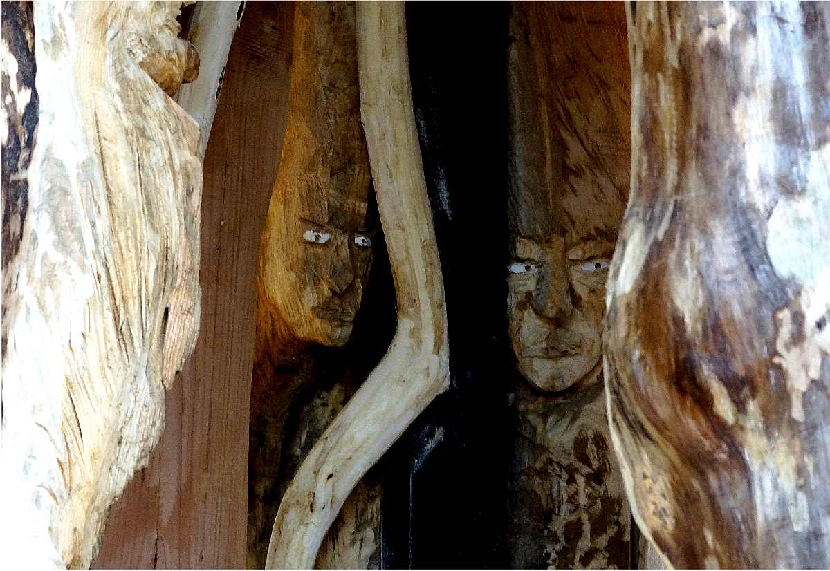 Mycelium, Novembergrau, thomas rees 41