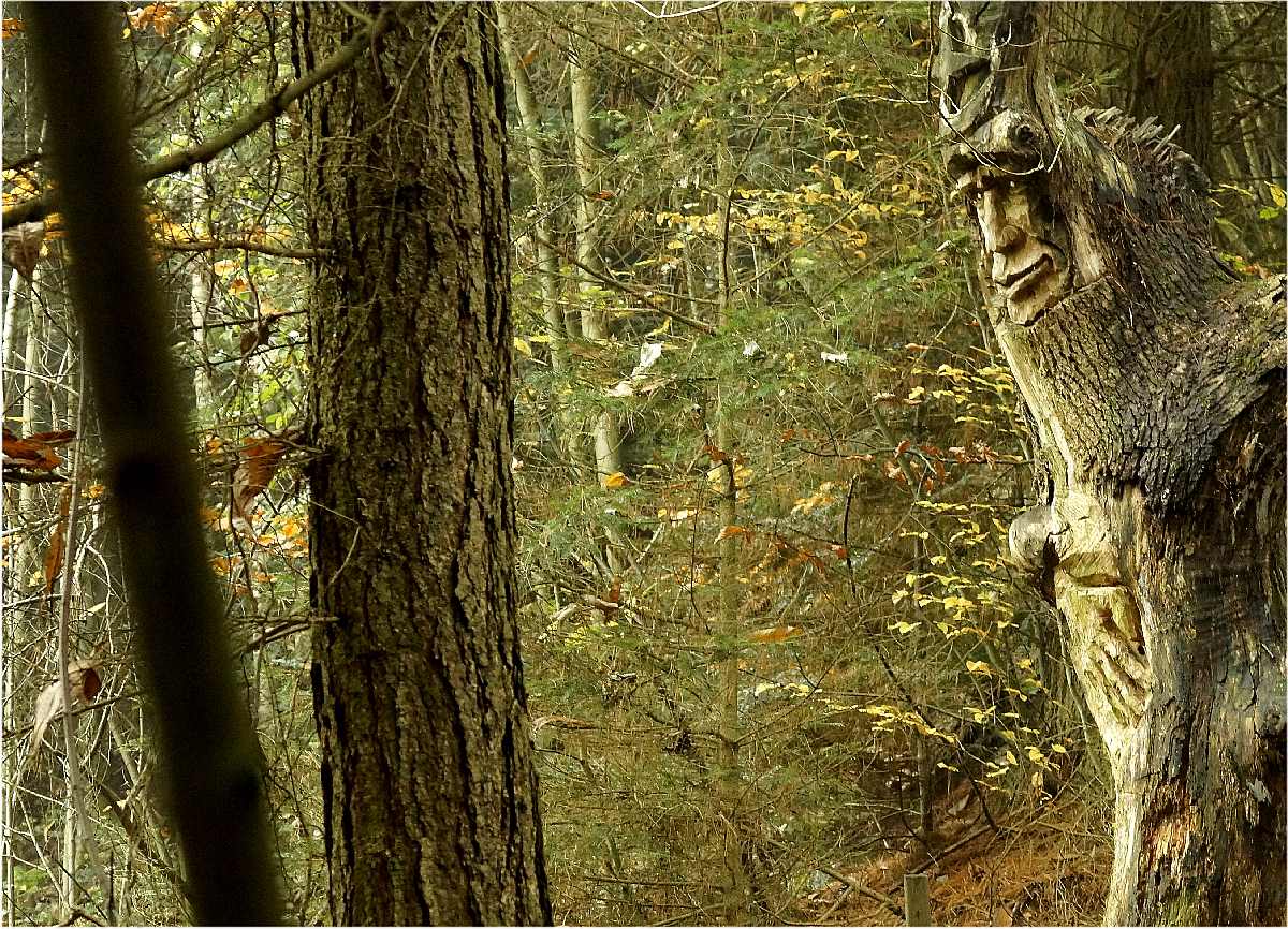 Mycelium, Novembergrau, thomas rees 43