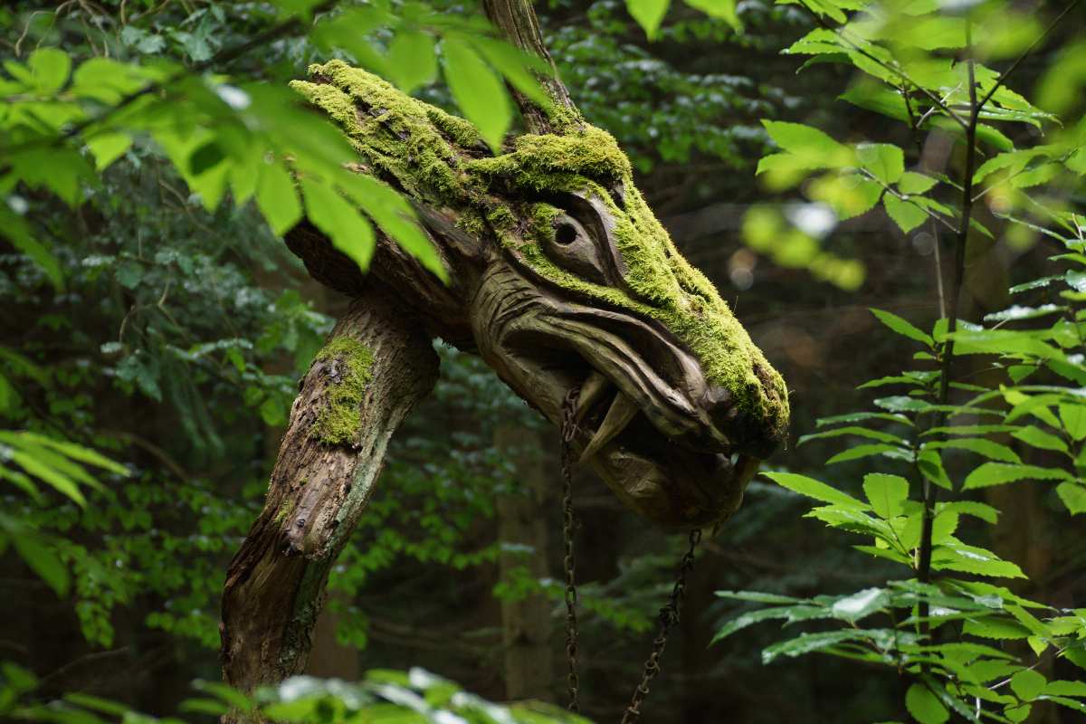 Sternwalddrache 2014, thomas rees 08