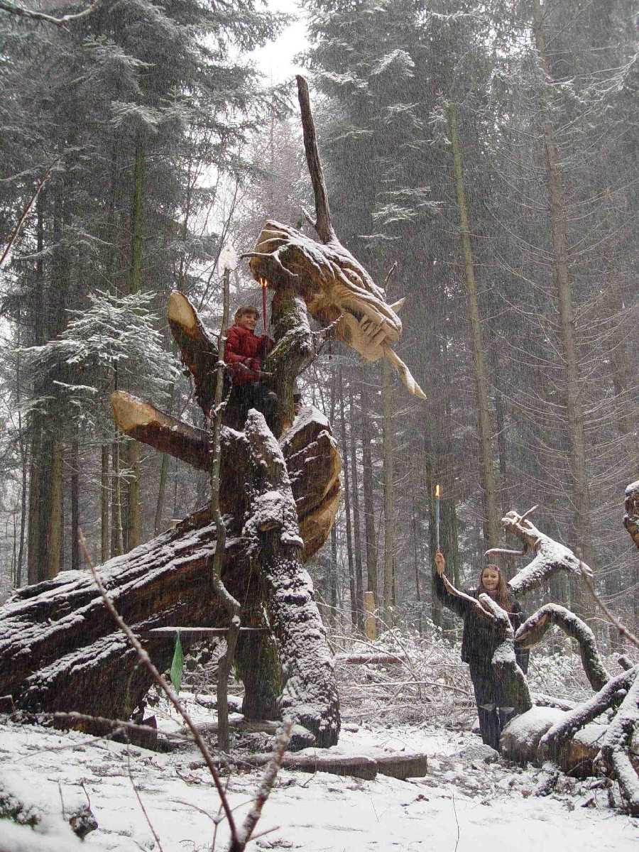 Sternwalddrache 272