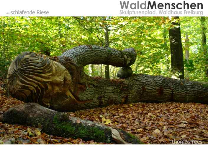 der-schlafende-riese-kopie