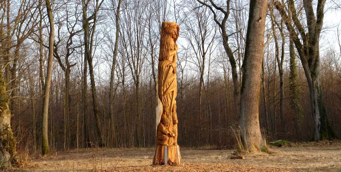 die-eiche-im-opfinger-wald-thomas-rees