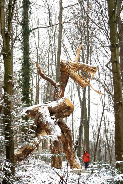 drachen-waldhaus-kopie