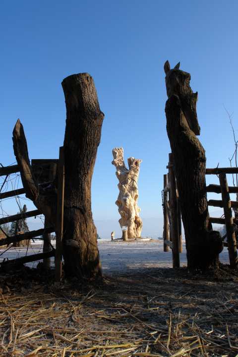 dsc00378-kopie