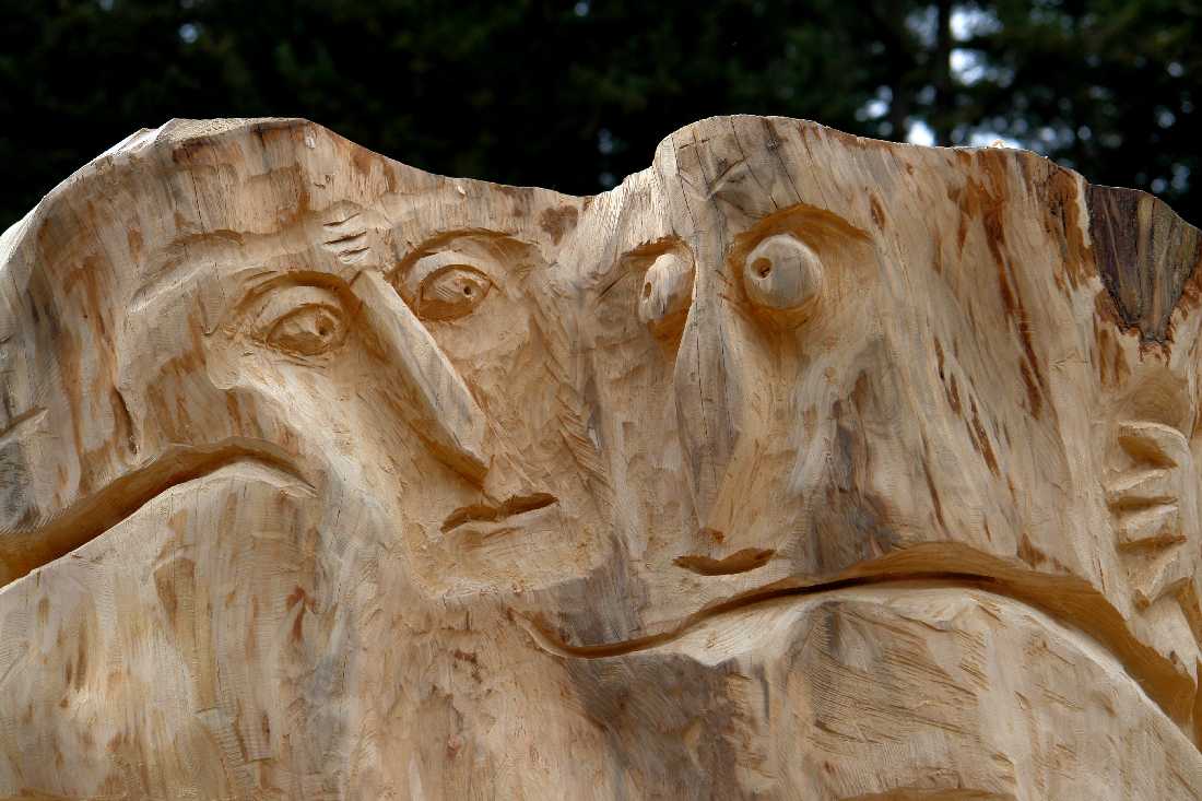 grieswurz-zauberweg-am-hasenhorn-todtnau-thomas-rees-257