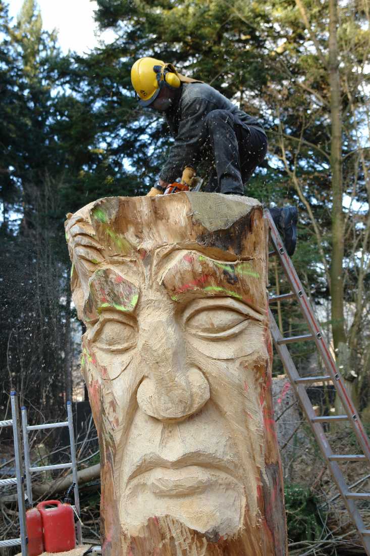 grieswurz-zwergenweg-am-hasenhorn-todtnau-thomas-rees267